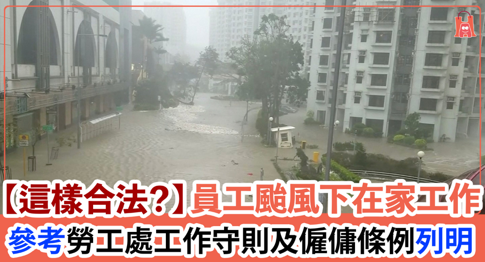【圓規來了】公司安排員工颱風下在家工作 合法嗎?|參考勞工處工作守則及僱傭條例