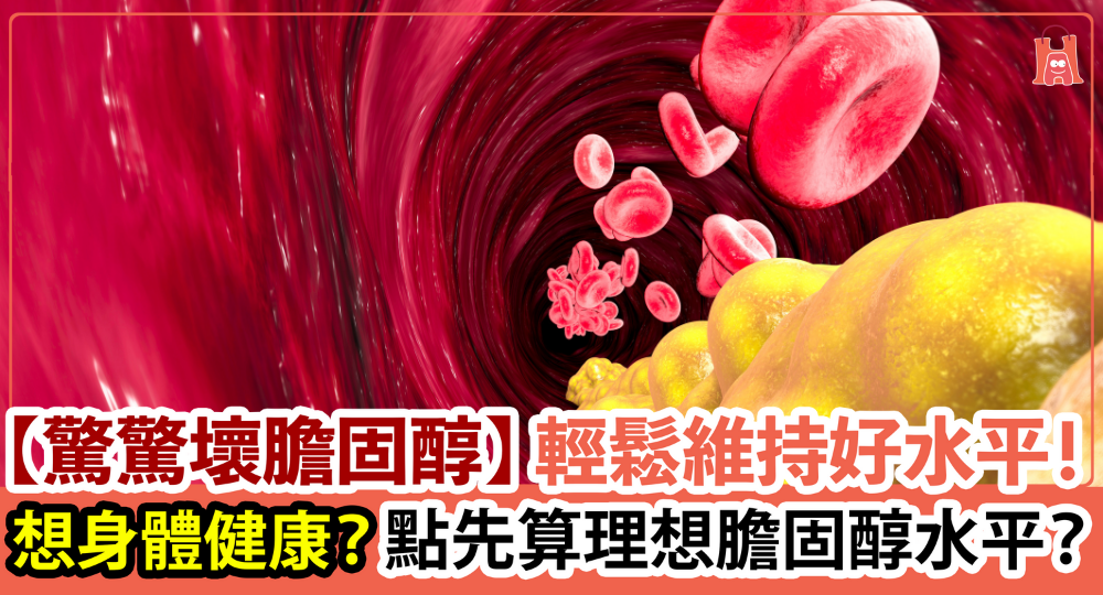 【驚驚壞膽固醇】如何輕鬆維持 理想膽固醇水平?