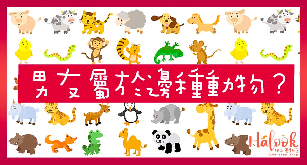 【動物系男友】男友到底是屬於那種動物~