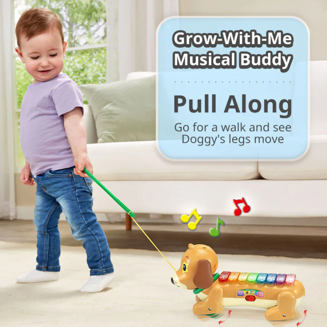 Vtech 小狗拉拉琴 Doggy Xylophone™(1.5-4歲)