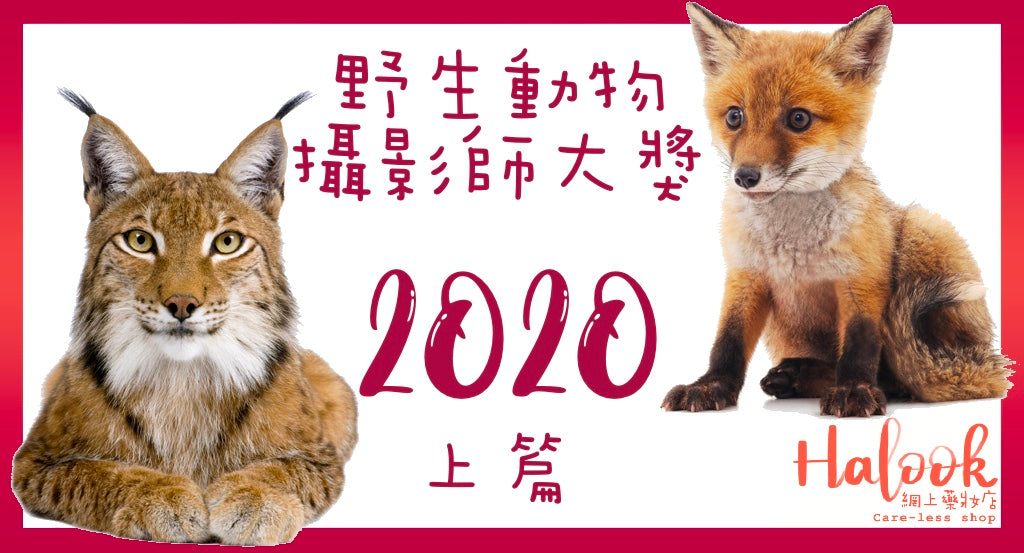 野生動物攝影界的奧斯卡-野生動物攝影師大獎 2020 上篇