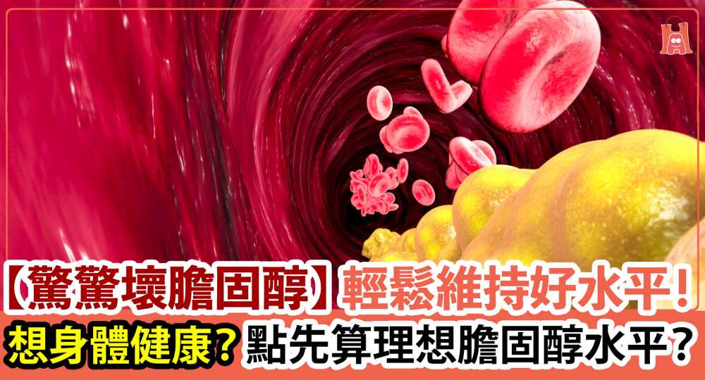 【驚驚壞膽固醇】如何輕鬆維持 理想膽固醇水平？