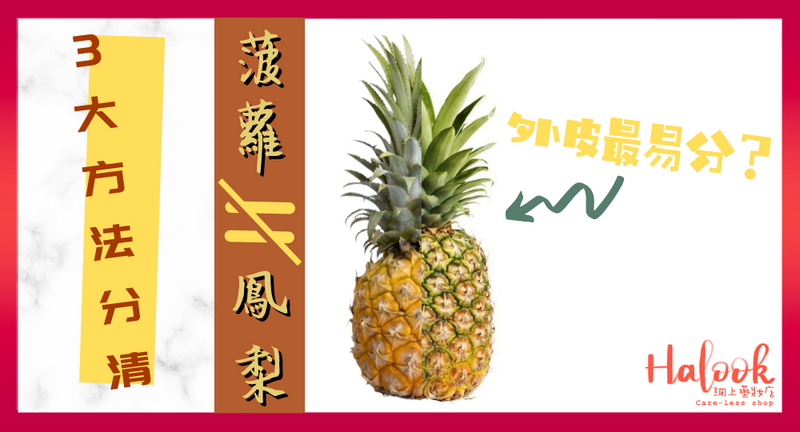 【菠蘿、鳳梨大不同】3 大方法分清兩種水果