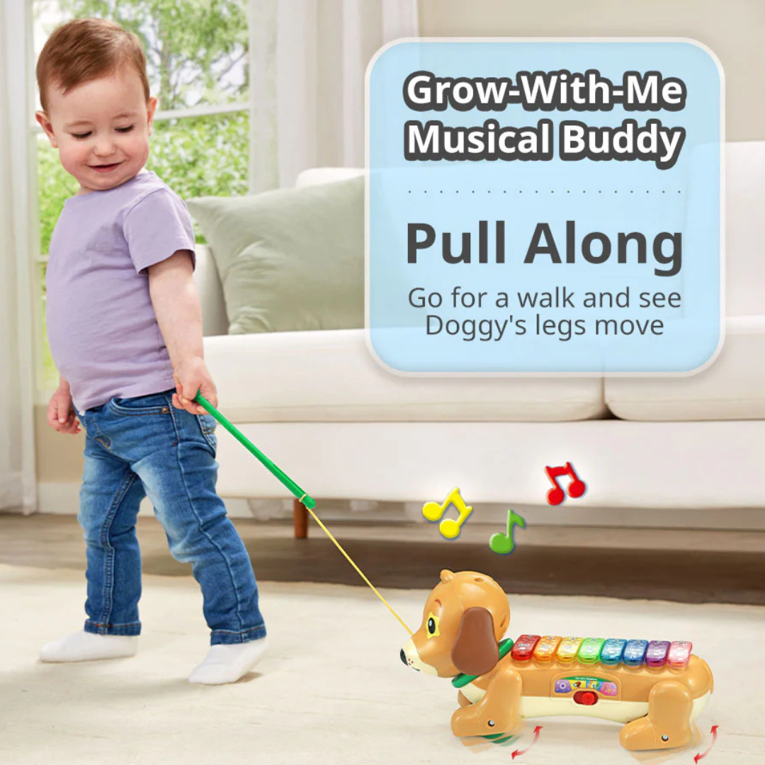 Vtech 小狗拉拉琴 Doggy Xylophone™