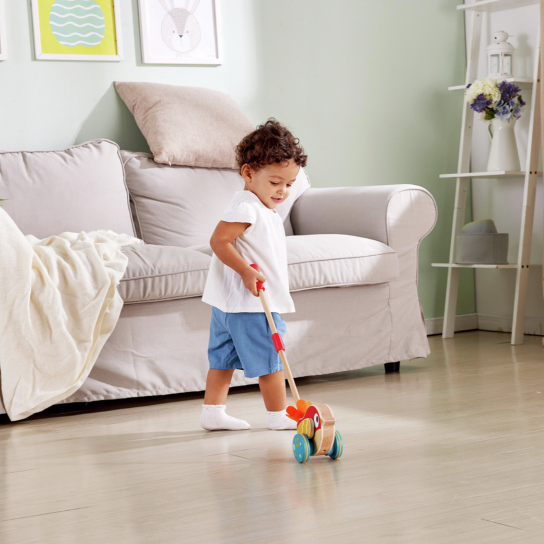 Hape 莉莉鳥音樂推車 Lilly Musical Push Along